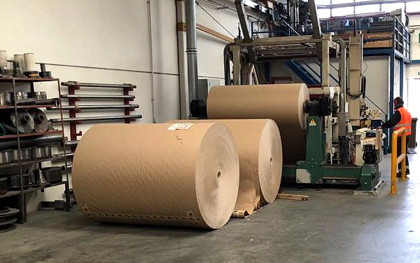 3 Ply Kitchen Roll (12) XL Giant Premium Quality 17.5g - Foto 9